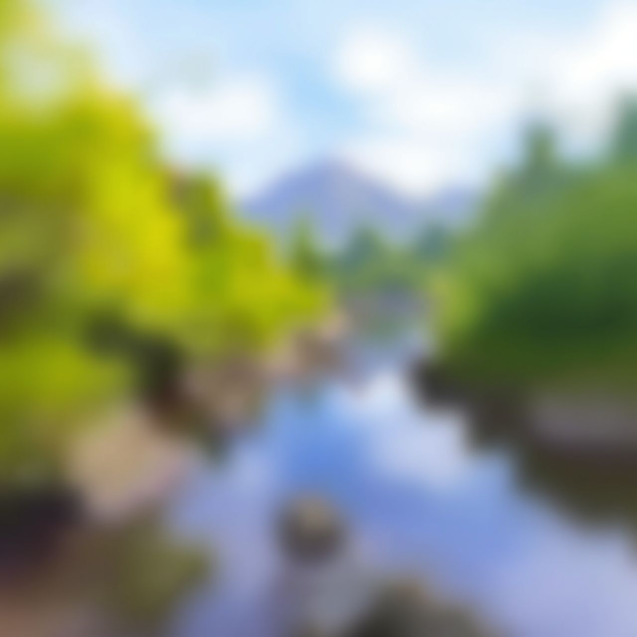 No Image Available
