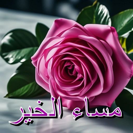 سياره جديده